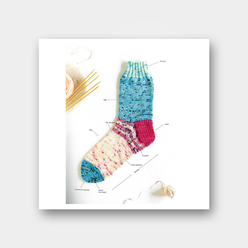 La Bible des Chaussettes au Tricot - Lynne Rowe