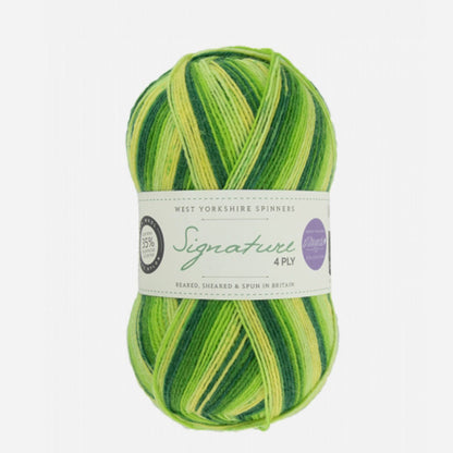 Signature 4-Ply Seasons - West Yorkshire Spinners