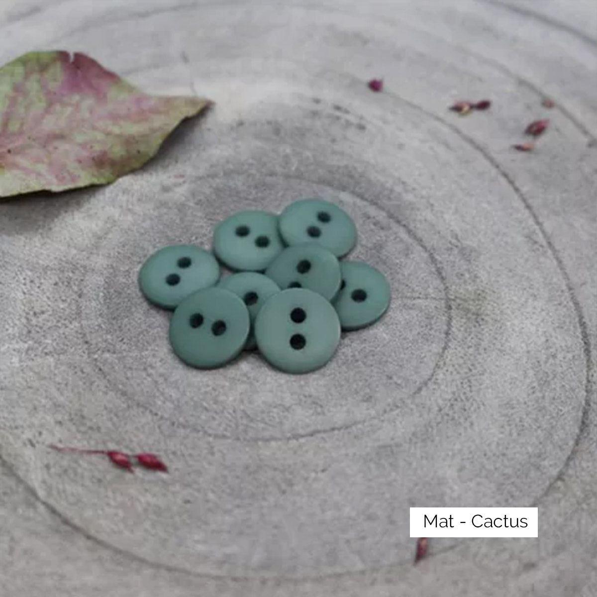 Boutons Classic Matte d'Atelier Brunette coloris Cactus