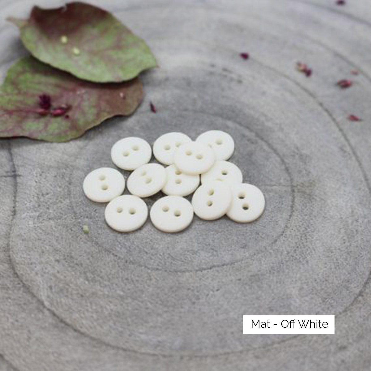 Boutons Classic Matte d'Atelier Brunette coloris Off White