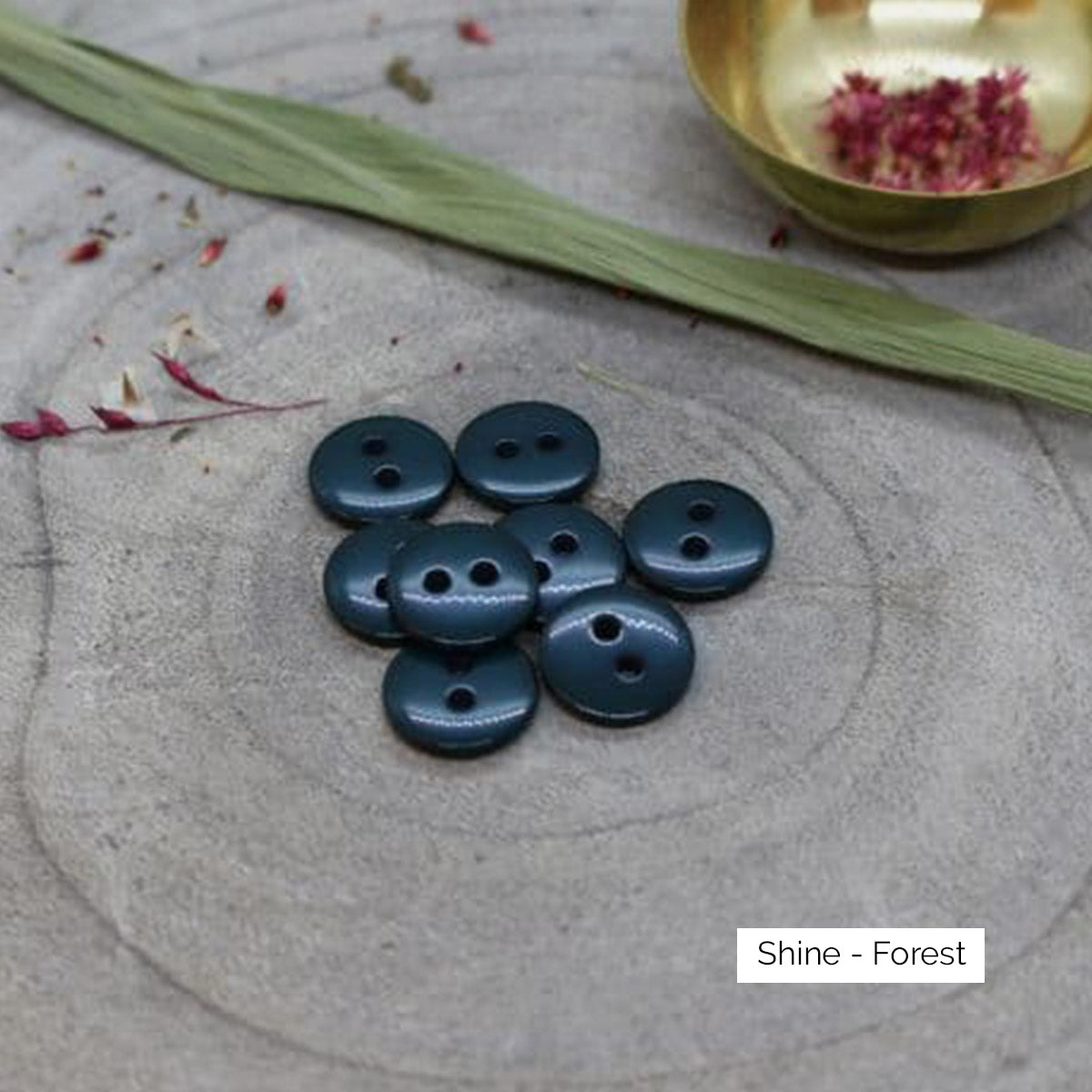 Boutons Classic Shine d'Atelier Brunette coloris Forest