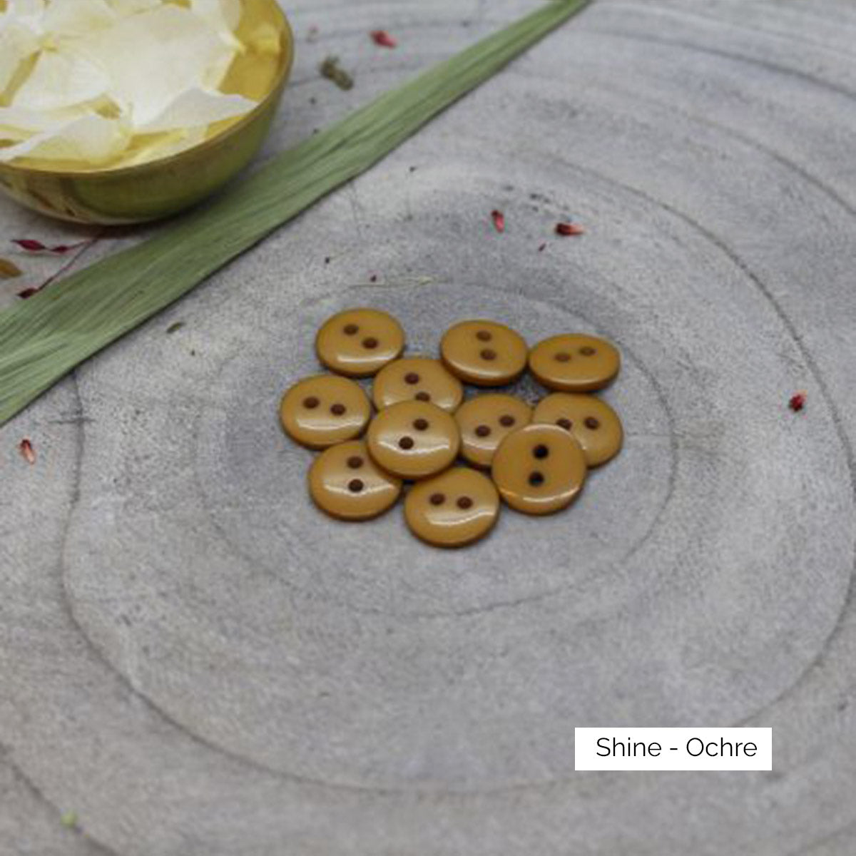 Boutons Classic Shine d'Atelier Brunette coloris Ochre