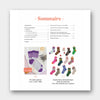 Le Guide des Chaussettes Autour du Monde au Tricot Jacquard - Lysandre Hourdin