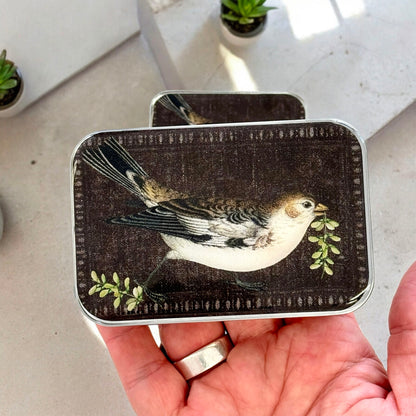 Boîte de rangement métallique Firefly Notes, modèle Birdsong, taille Large