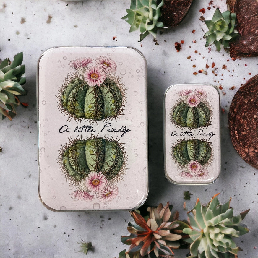 Boîte de rangement métallique Firefly Notes, modèle Cactus, taille Large (gauche) et Small (droite)