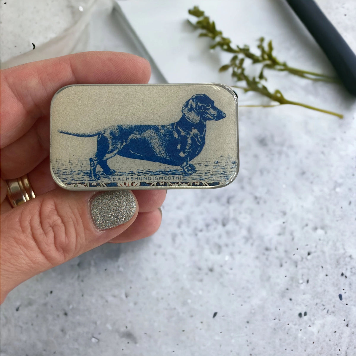 Boîte de rangement Firefly Notes, modèle Dachshund, taille Small