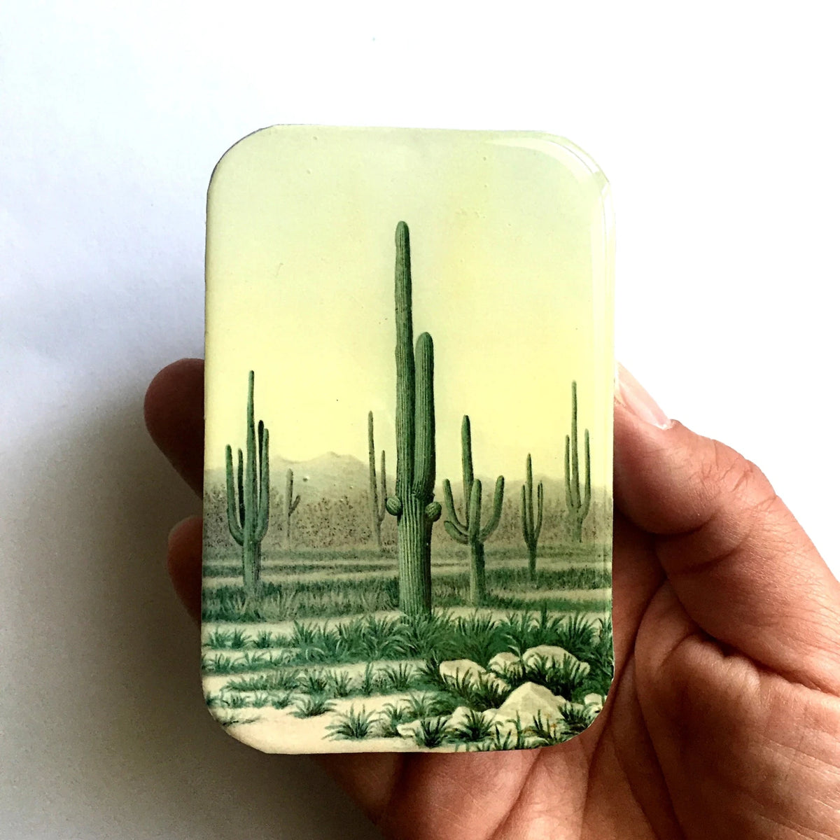 Boîte de rangement Firefly Notes, modèle Desert Cactus, taille Large