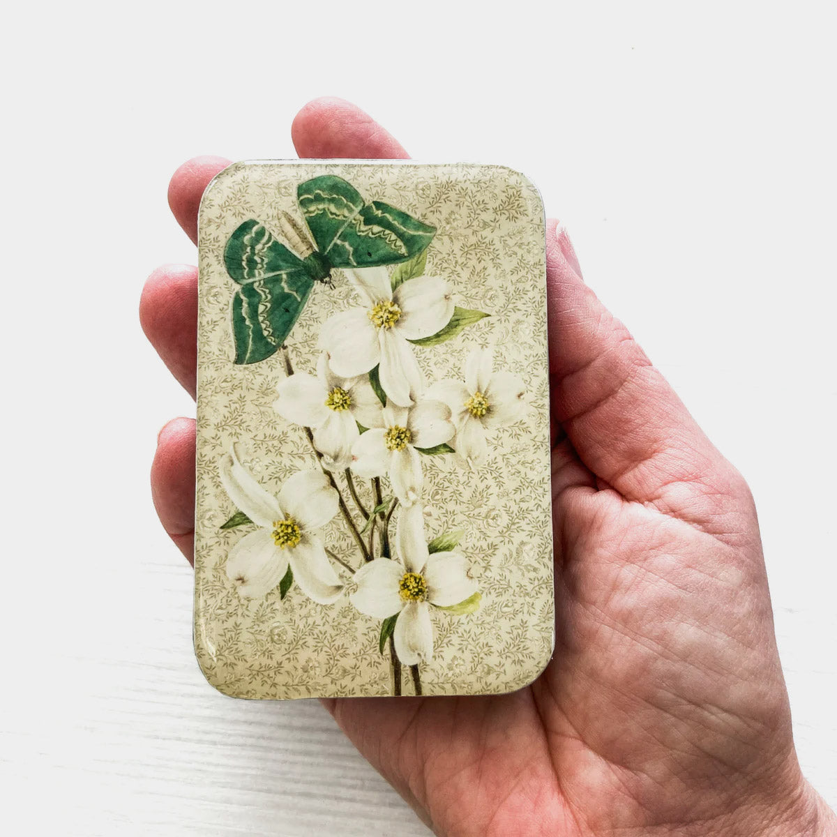 Boîte de rangement Firefly Notes, modèle Green Moth, taille Large