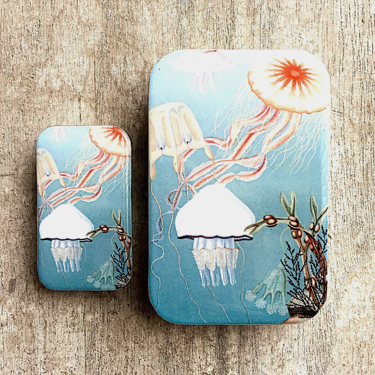Boîte de rangement Firefly Notes, modèle Jellyfish, taille Small (gauche) et Large (droite)