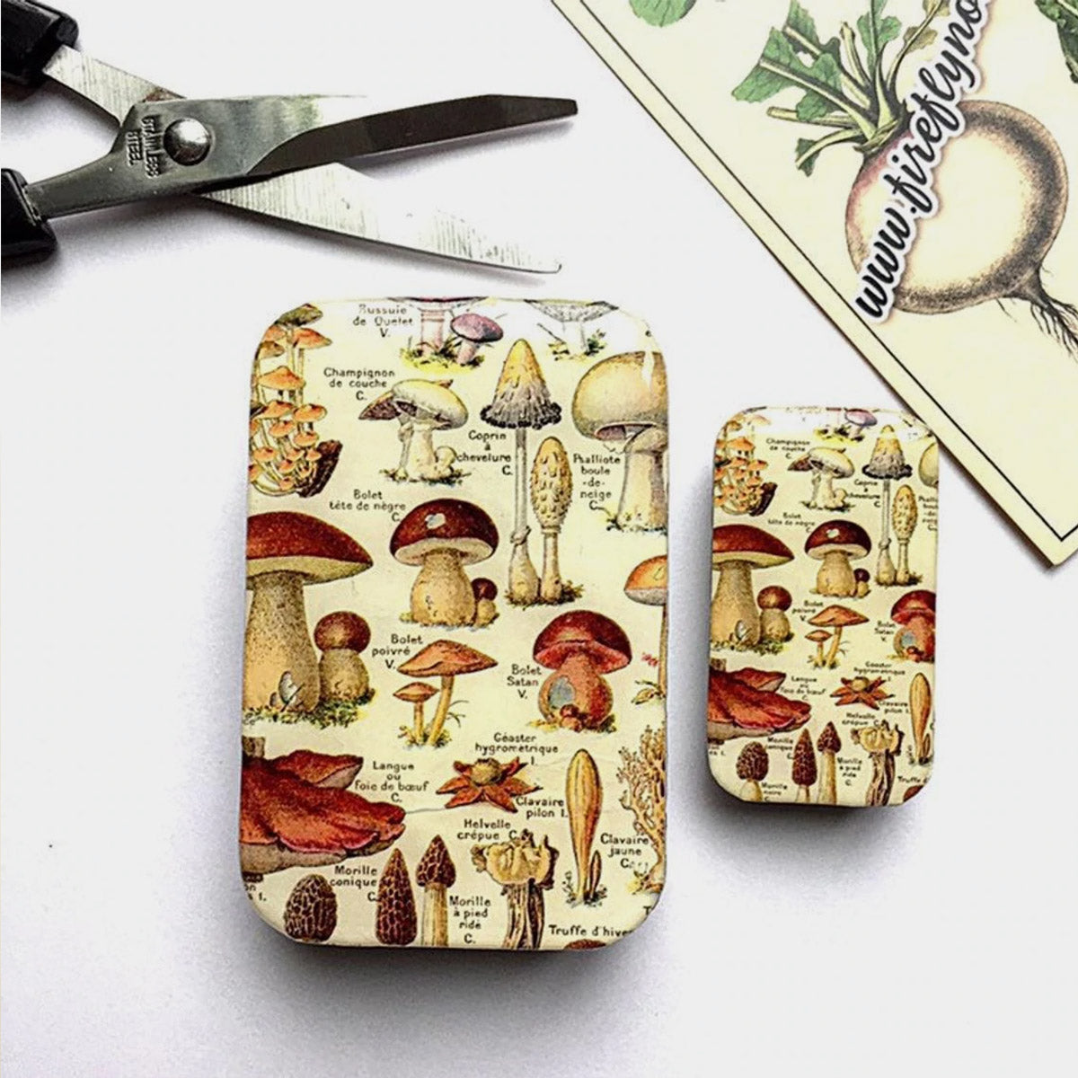 Boîte de rangement Firefly Notes, modèle Mushroom, taille Large (gauche) et Small (droite)