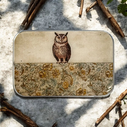 Boîte de rangement Firefly Notes, modèle Owl, taille Large