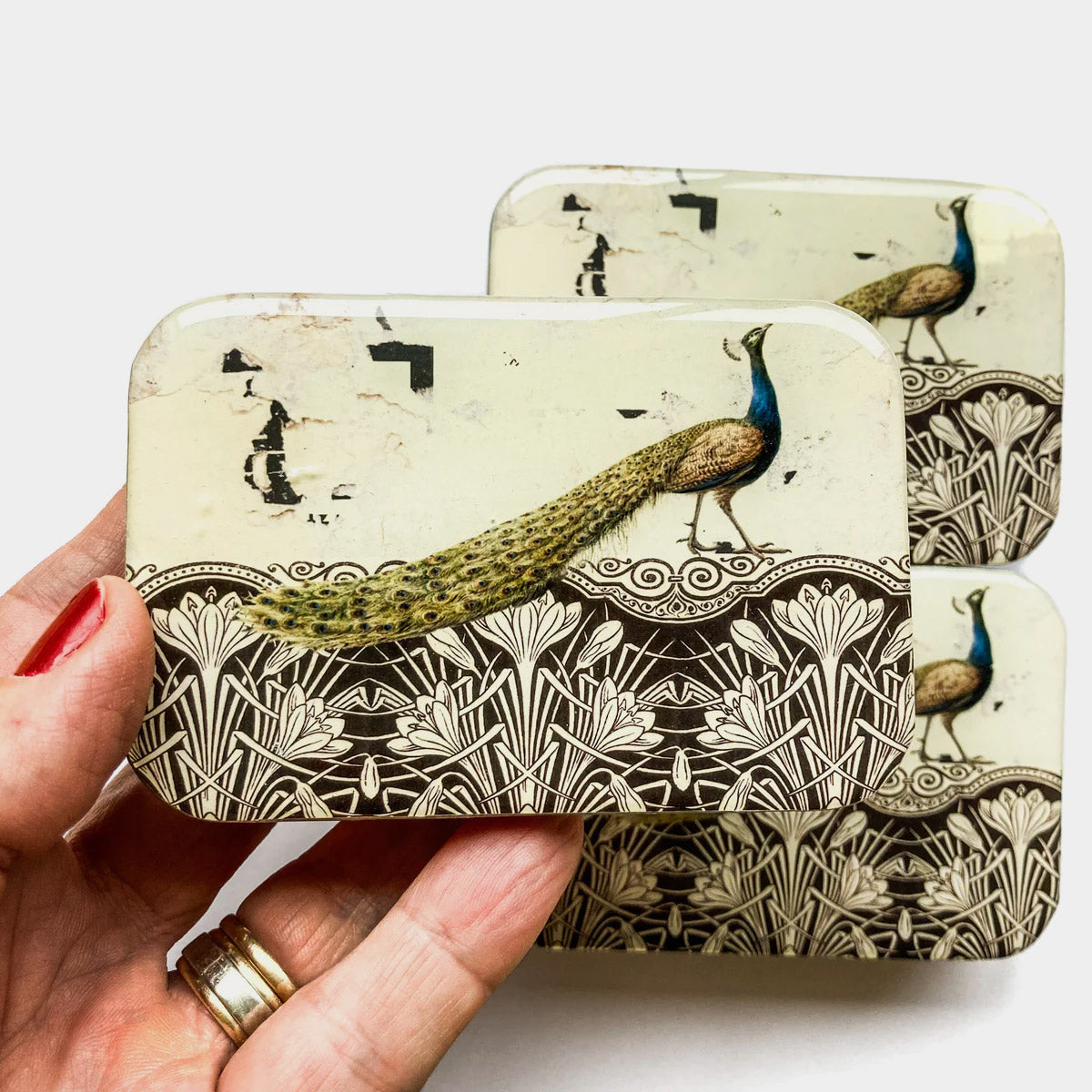 Boîte de rangement Firefly Notes, modèle Peacock, taille Large