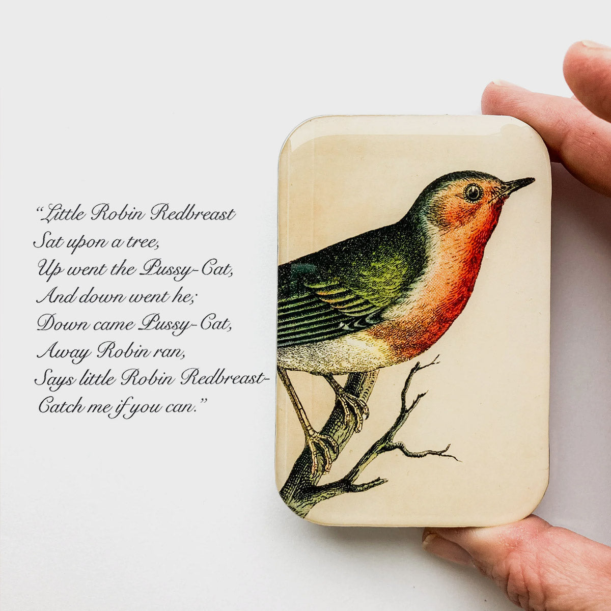 Boîte de rangement Firefly Notes, modèle Robin, taille Large