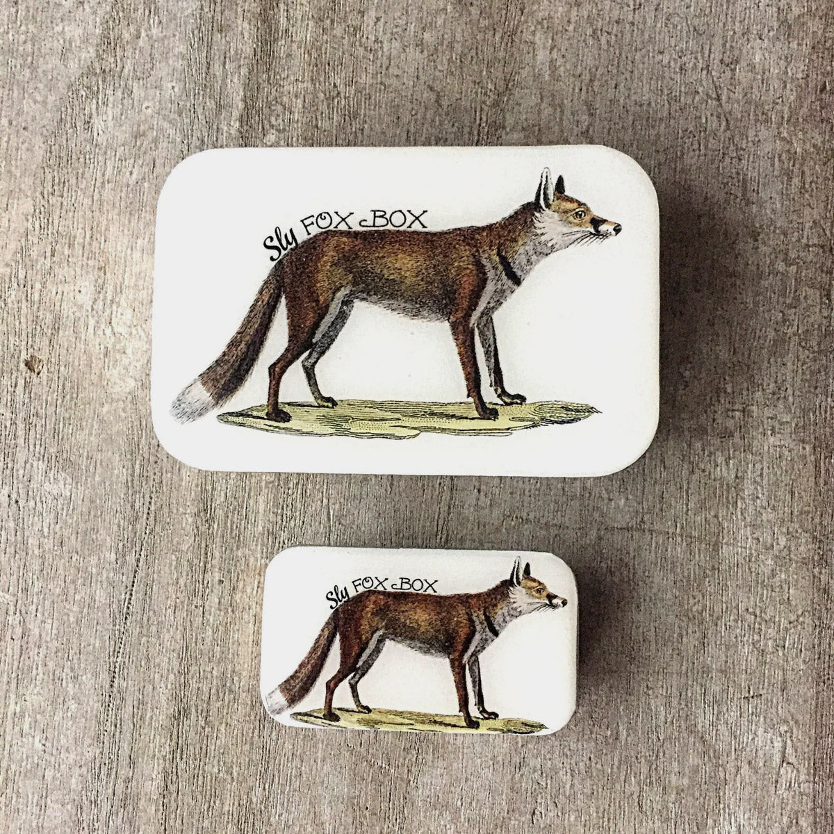 Boîte de rangement Firefly Notes, modèle Sly Fox, taille Large (haut) et Small (bas)