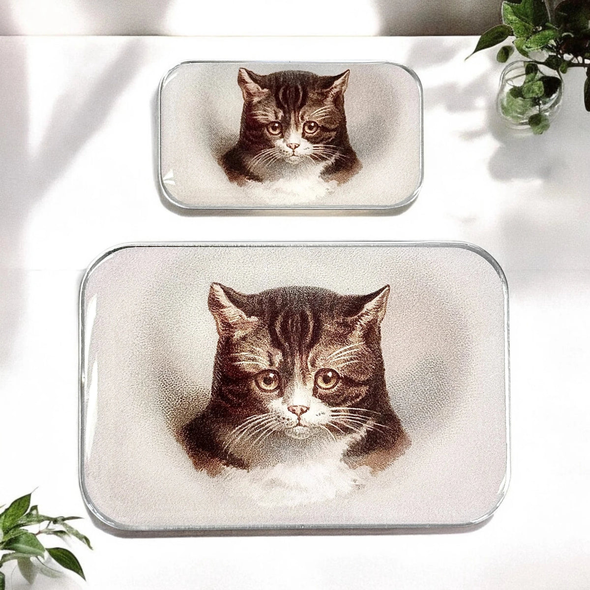 Boîte de rangement Firefly Notes, modèle Tabby Cat, taille Small (haut) et Large (bas)
