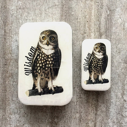 Boîte de rangement Firefly Notes, modèle Wise Owl, taille Large (gauche) et Small (droite)