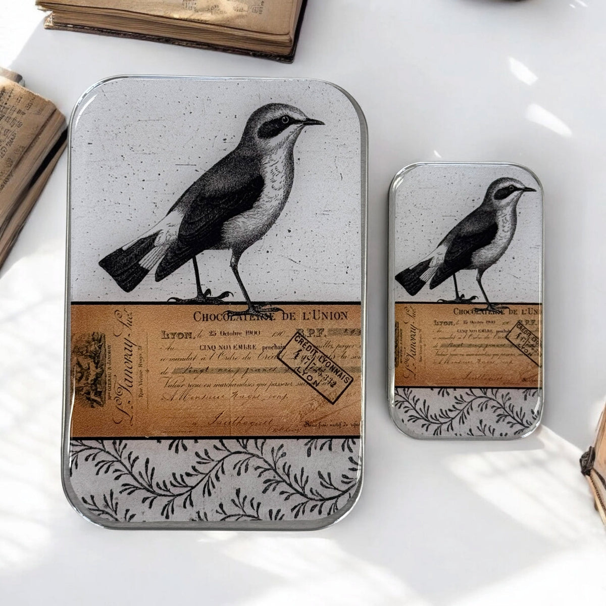 Boîte de rangement Firefly Notes, modèle Little Bird (large à gauche, small à droite)