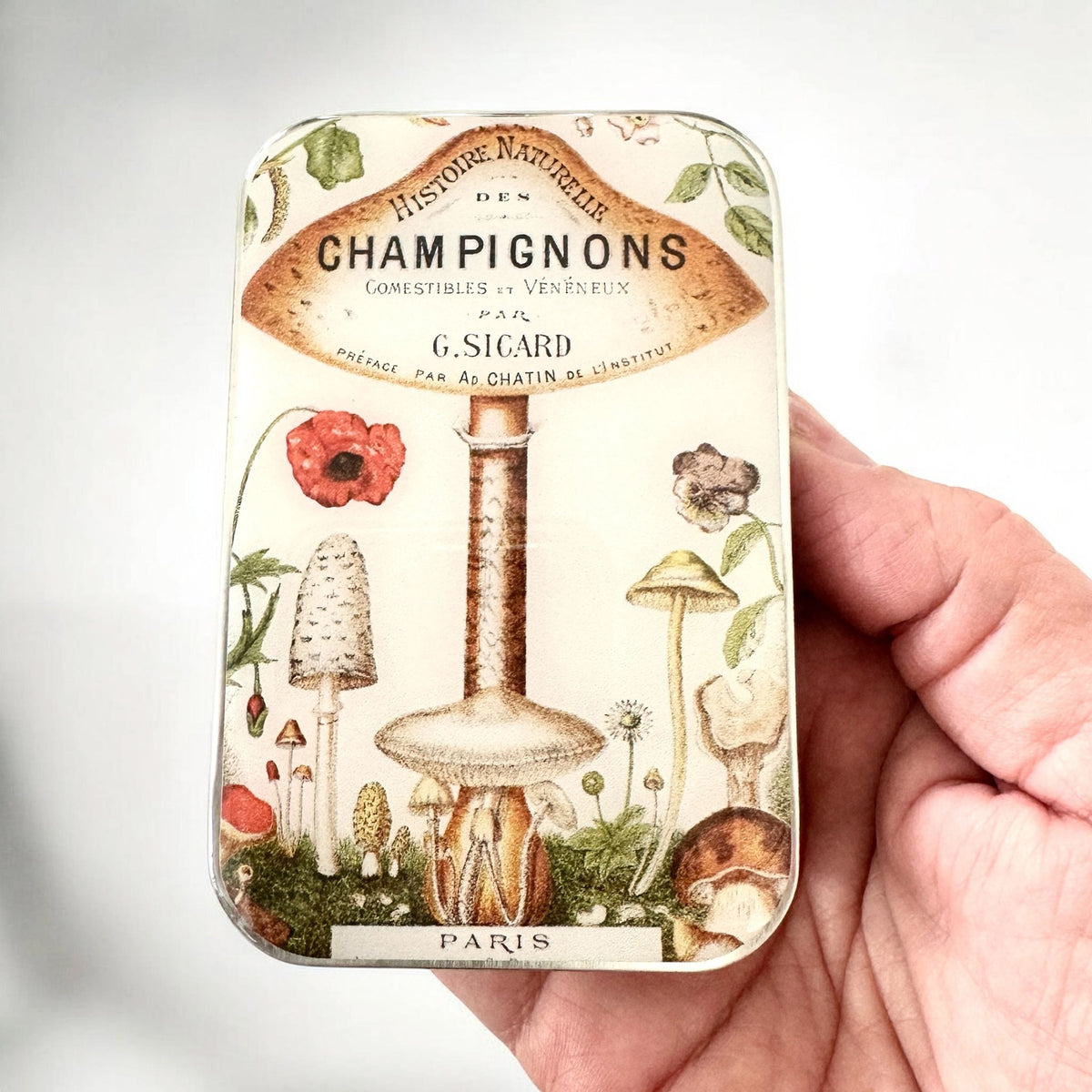 Boîte de rangement Firefly Notes, modèle Vintage Mushroom, taille Large