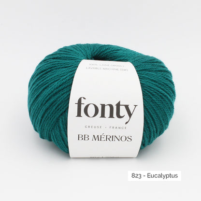Pelote de BB Mérinos de Fonty, coloris 823 Eucalyptus