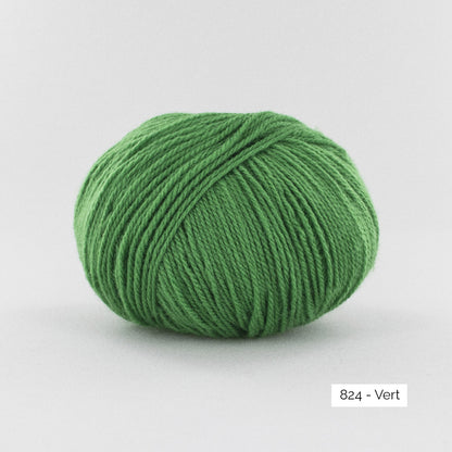 Pelote de BB Mérinos de Fonty, coloris 824 Vert