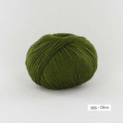 Pelote de BB Mérinos de Fonty, coloris 955 Olive