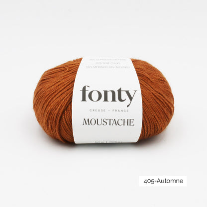 Pelote de Moustache de Fonty coloris 405 Automne