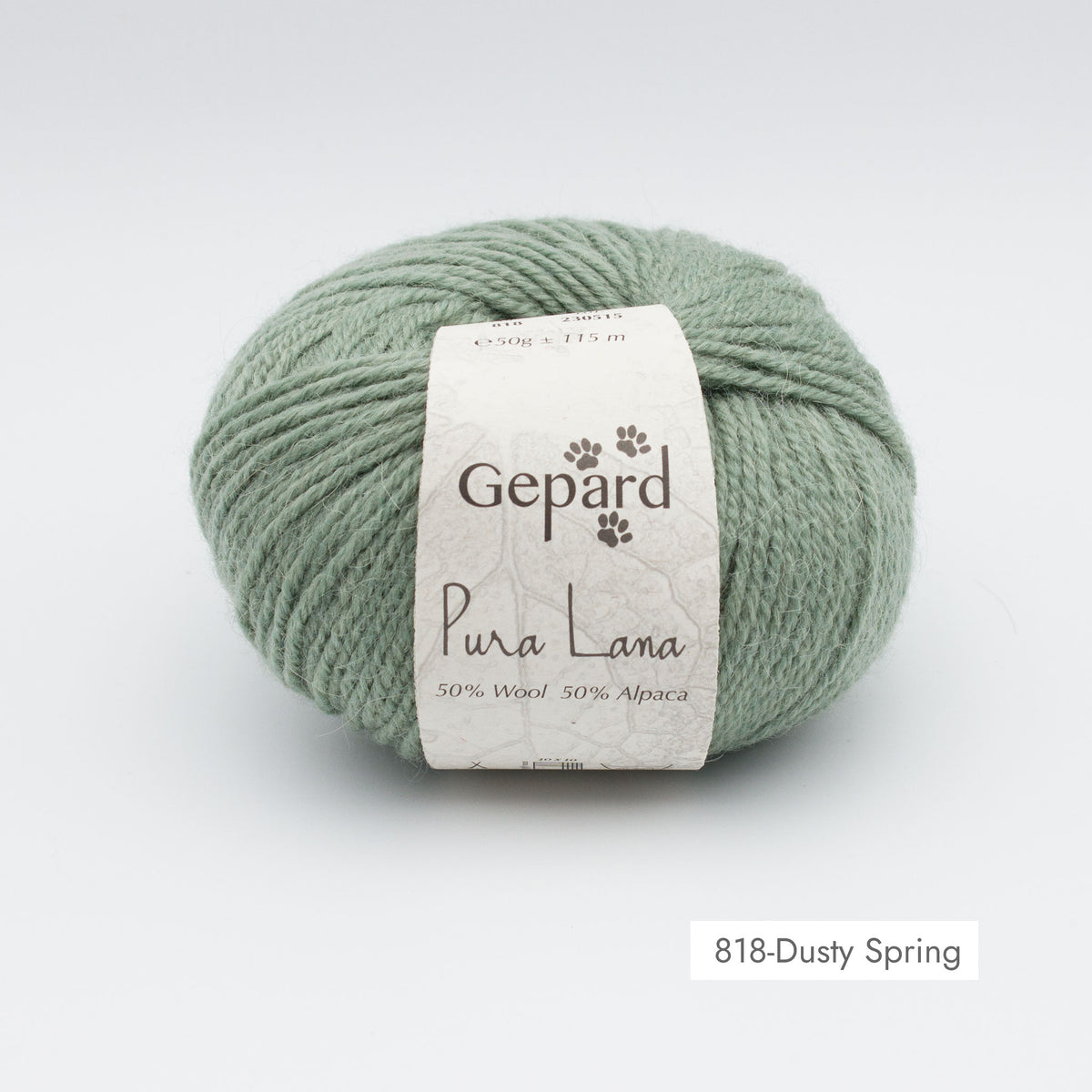 Pelote de Pura Lana de Gepard Garn coloris 818 Dusty Spring