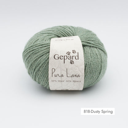 Pelote de Pura Lana de Gepard Garn coloris 818 Dusty Spring