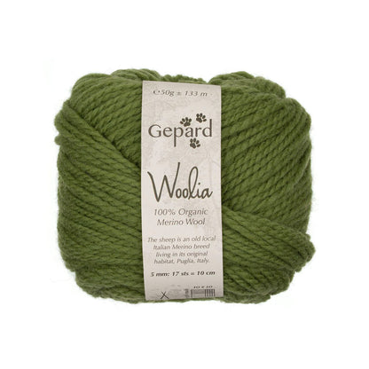 Woolia de Gepard Garn coloris 860 Camo