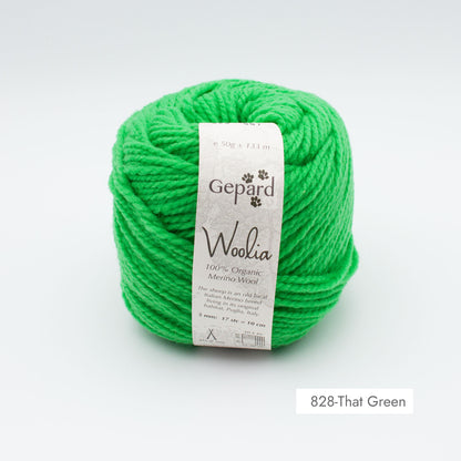 Pelote de Woolia de Gepard Garn coloris 828 That Green