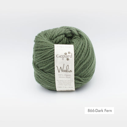 Pelote de Woolia de Gepard Garn coloris 866 Dark Fern