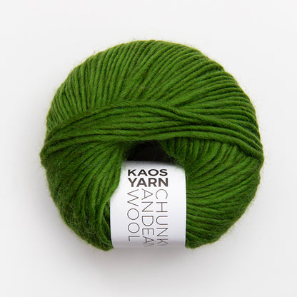 Pelote de Chunky Andean Wool de Kaos Yarn coloris 6079 Generous