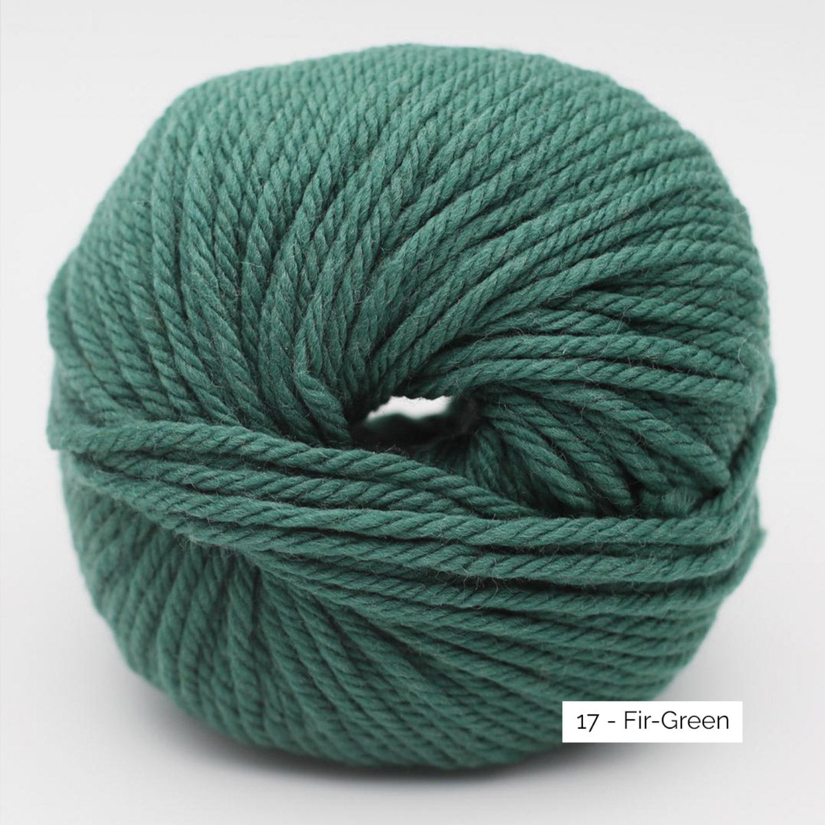 Merry Merino 70 de Kremke Soul Wool coloris 17 Fir Green