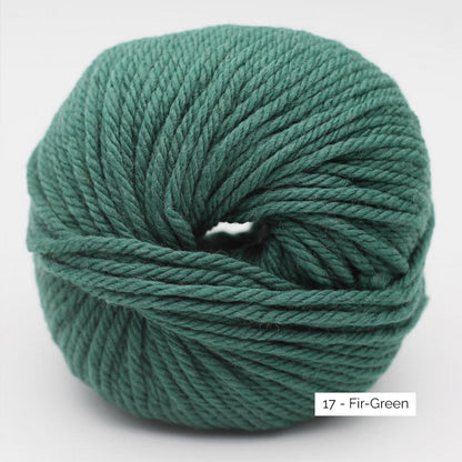 Merry Merino 70 de Kremke Soul Wool coloris 17 Fir Green