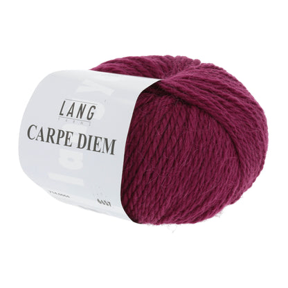 Pelote de Carpe Diem de Lang Yarns coloris 064 Prune