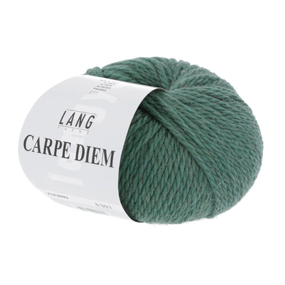 Pelote de Carpe Diem de Lang Yarns coloris 093 Laurier