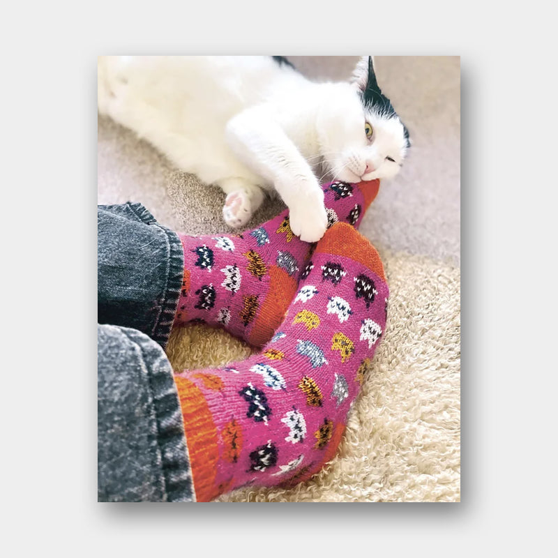 Chaussettes Créatives à Tricoter - Charlotte Stone