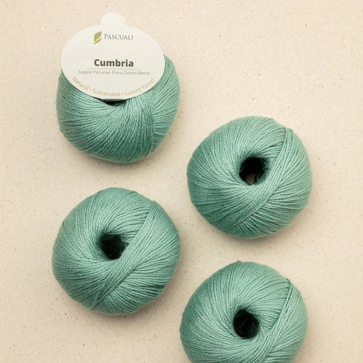 Pelote de Cumbria de Pascuali, coloris 325 Menthe