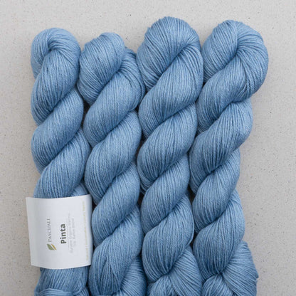 Echeveaux de Pinta de Pascuali, coloris 101 Horizon