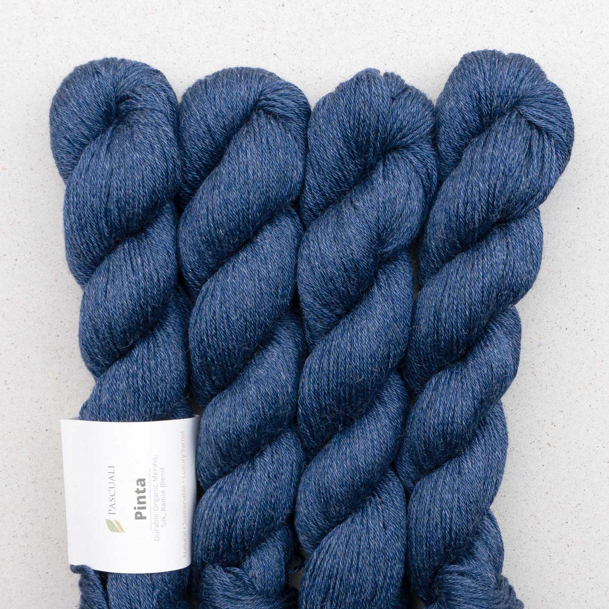 Echeveaux de Pinta de Pascuali, coloris 103 Navy