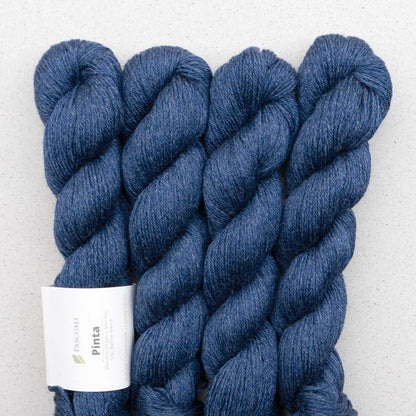Echeveaux de Pinta de Pascuali, coloris 103 Navy