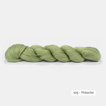 Echeveau de Pinta de Pascuali, laine à chaussettes sans nylon, coloris 105 Pistache