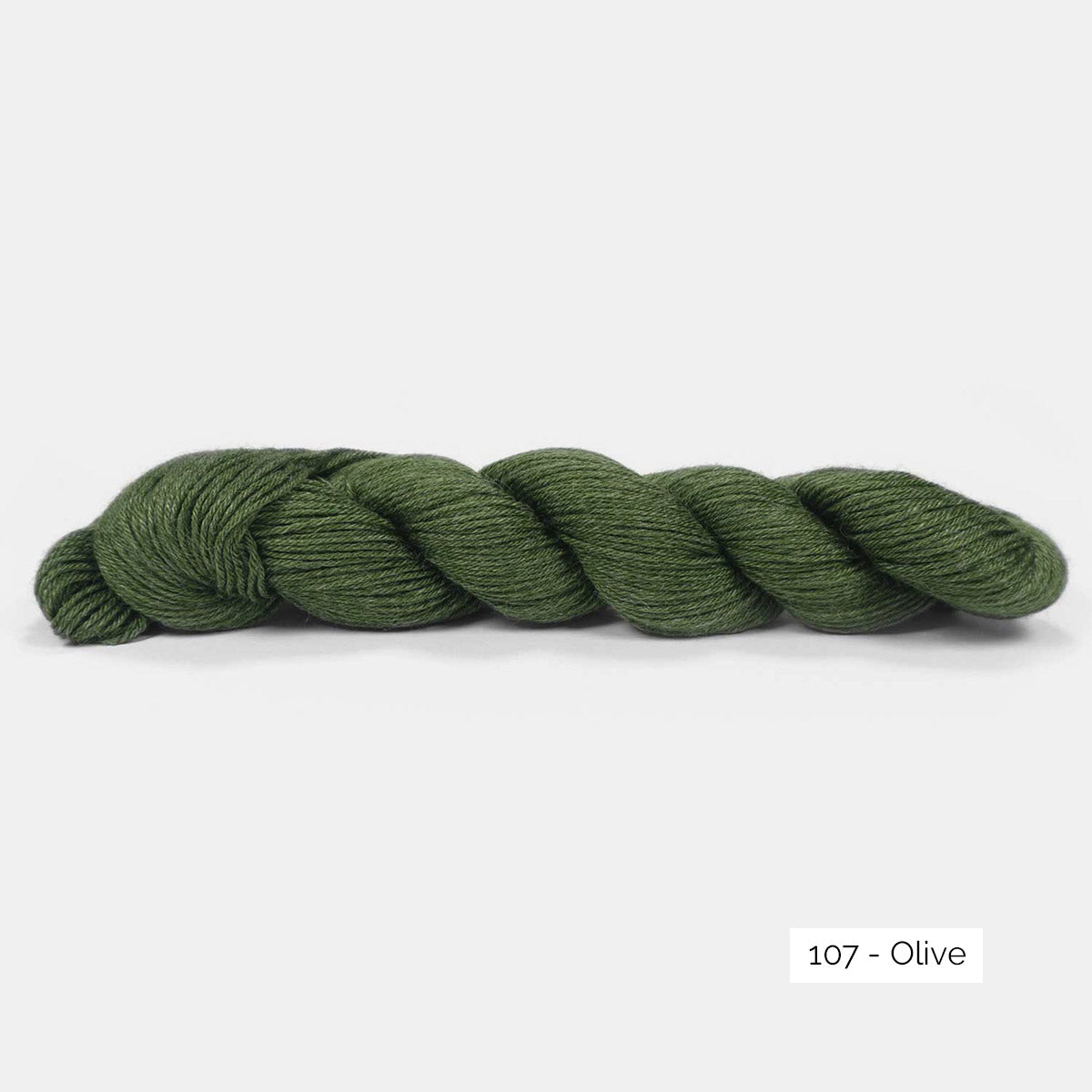 Echeveau de Pinta de Pascuali, laine à chaussettes sans nylon, coloris 107 Olive