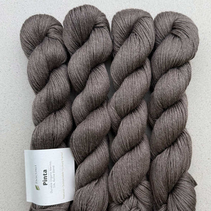 Echeveaux de Pinta de Pascuali, coloris 124 Greige