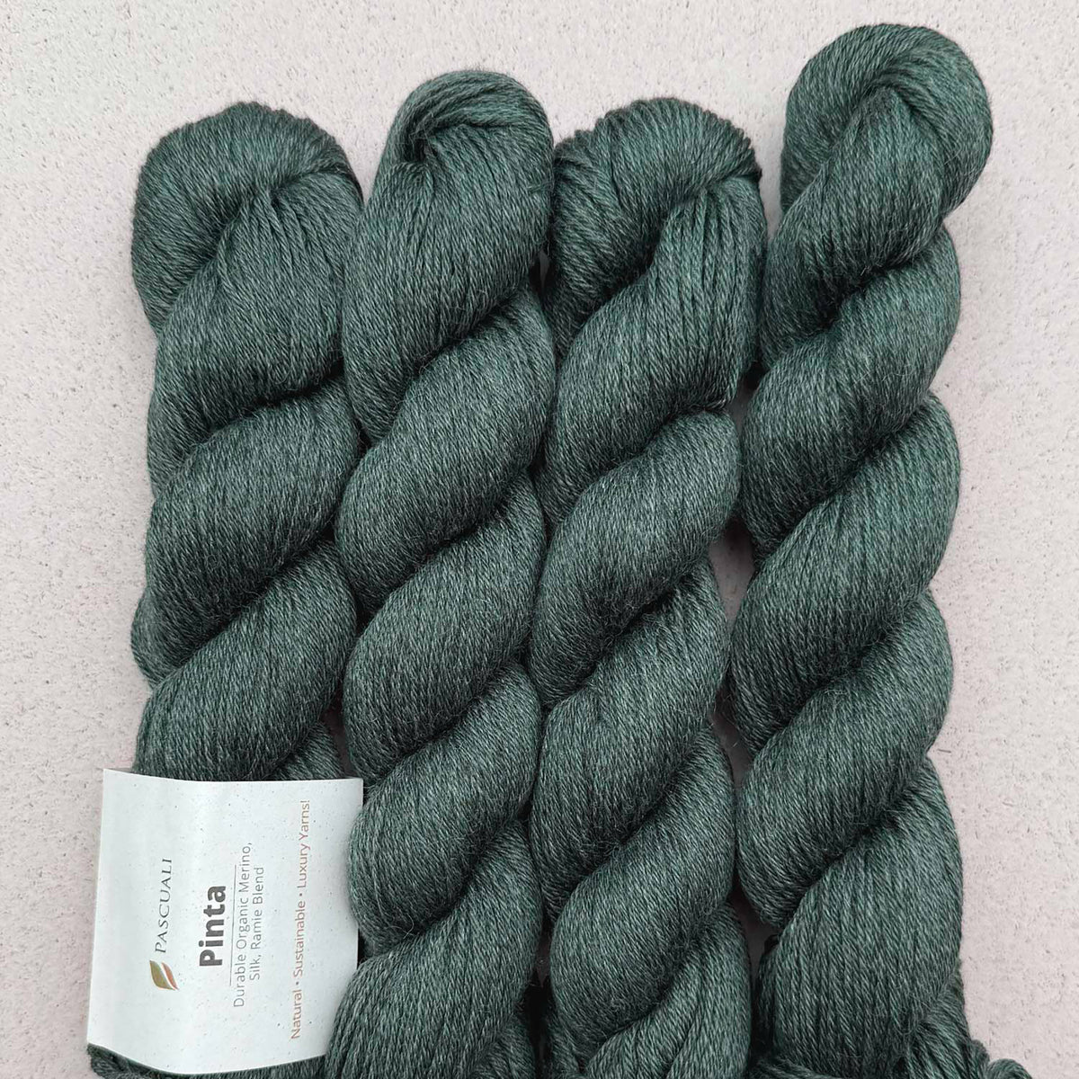 Echeveaux de Pinta de Pascuali, coloris 131 Vert Marin