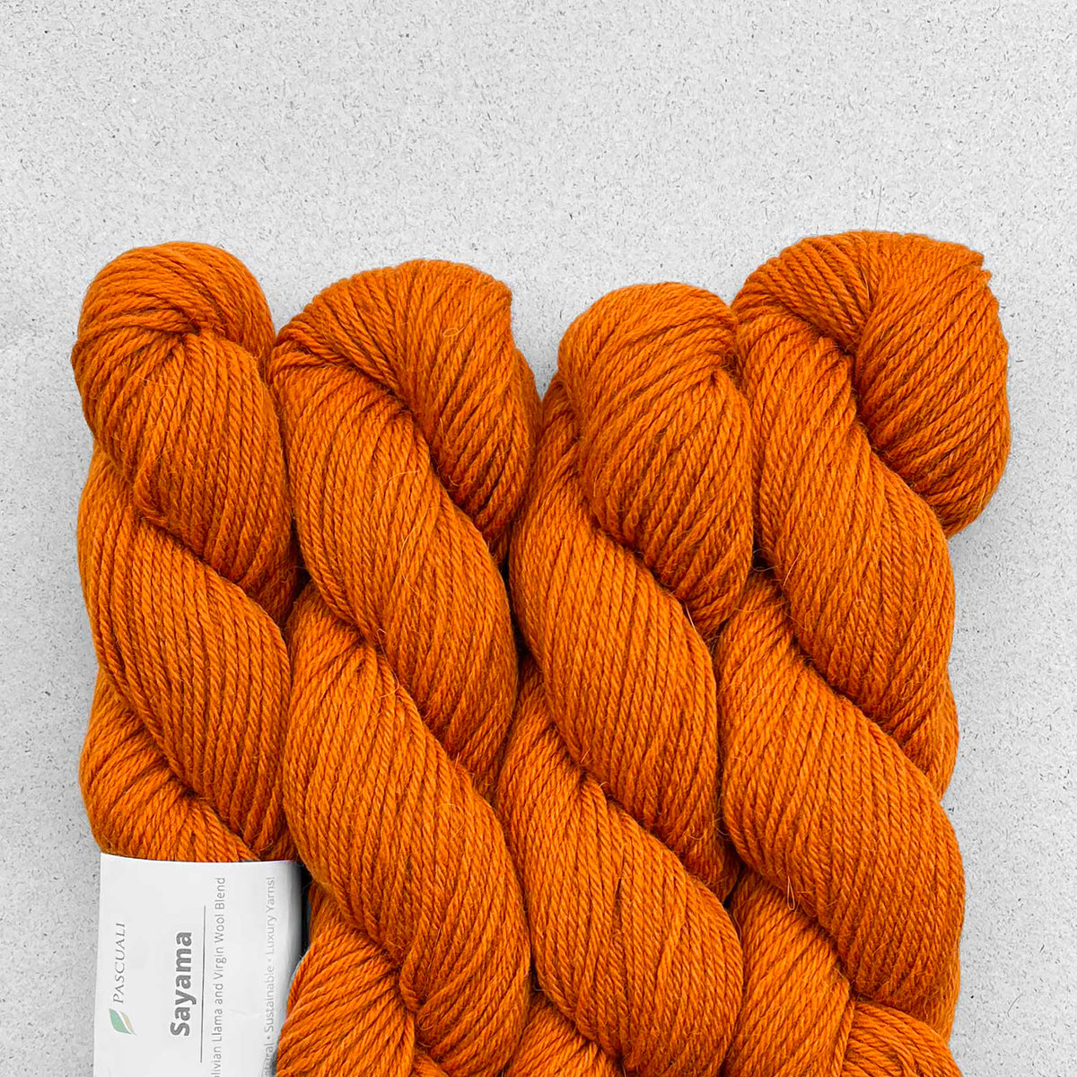 Echeveaux de Sayama de Pascuali coloris 306 Curry