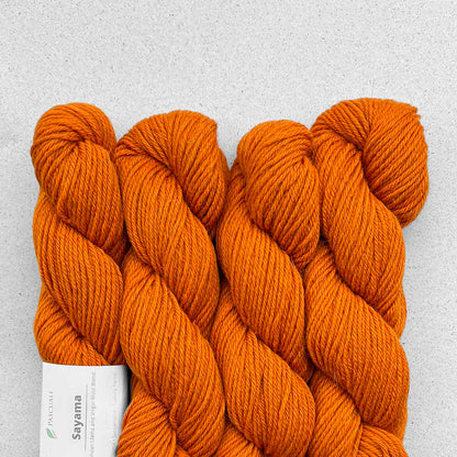 Echeveaux de Sayama de Pascuali coloris 306 Curry