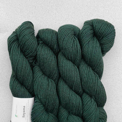 Echeveaux de Sayama de Pascuali coloris 317 Sea Green