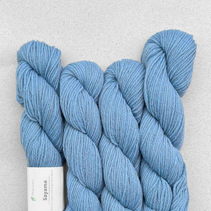Echeveaux de Sayama de Pascuali coloris 319 Horizon