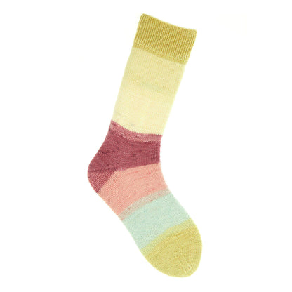 Superba Cashmeri Luxury Socks de Rico Design coloris 037 Earthy Pastels